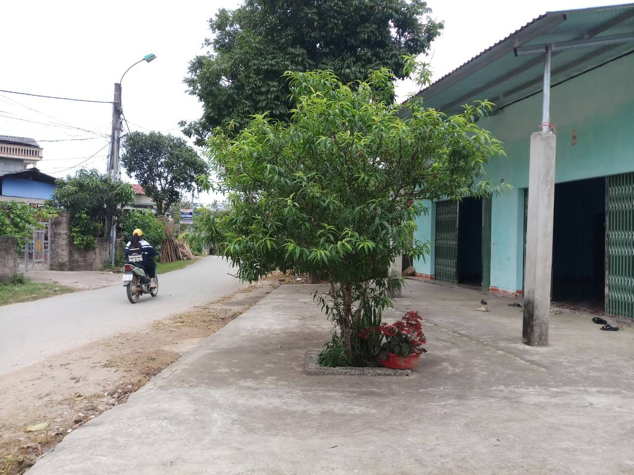 Bán nhà ngõ 6 đường Thanh Niên, trung tâm thị trấn Sơn Dương, Tuyên Quang. Kinh doanh được. Giá 25 tr/m2