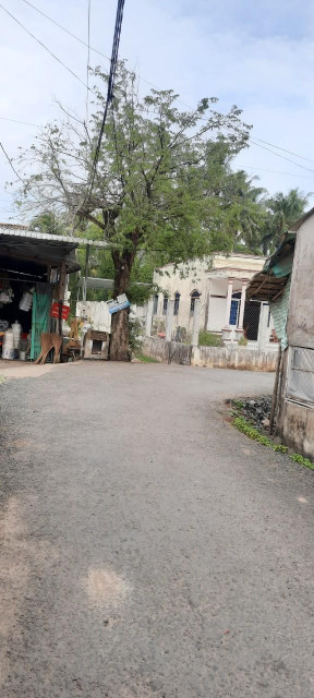ĐẤT CHÍNH CHỦ - GIÁ CỰC RẺ Tại Huyện Cầu Kè, Trà Vinh
