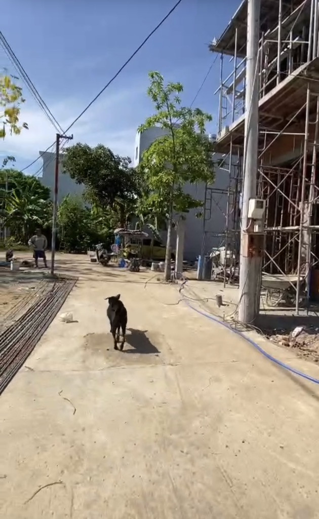 📌 👉 HÀNG HIẾM, 1 LÔ ĐẤT DUY NHẤT,DT 56M, NHỈNH 3 TỶ, ĐƯỜNG NGUYỄN XIỂN ĐỐI DIỆN VINHOMES Q9