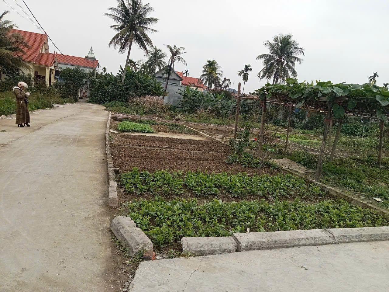 Bán đất 65.4m² . ngõ oto1.05 tỷ tại Xã Hoàng Động Huyện Thuỷ Nguyên. liên hệ 0362558882