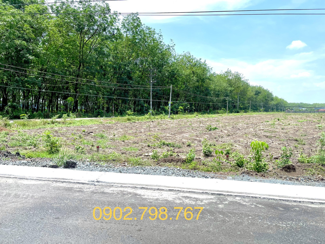 Bán đất 1000m² 180 triệu tại Xã Minh Lập Thị xã Chơn Thành