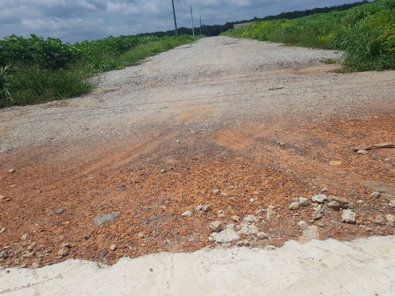 Bán đất 1000m² 190 triệu tại Xã Minh Lập Thị xã Chơn Thành