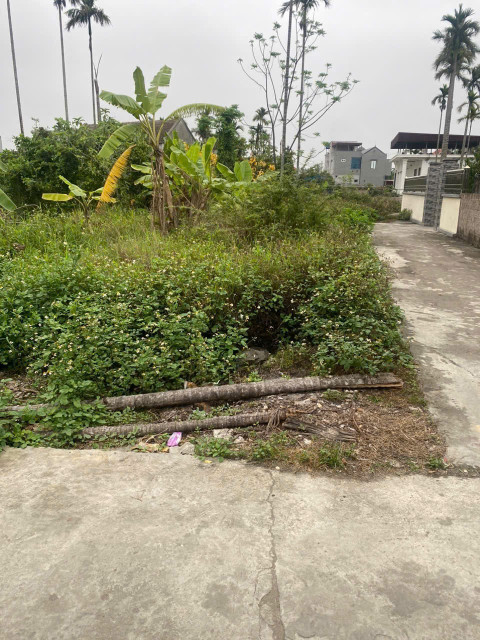Bán lô góc thôn hầu lâm động Thủy Nguyên dt 64m ngang 5 giá chỉ 1tỷ 4xx lh ngay 0382341632 em Liên