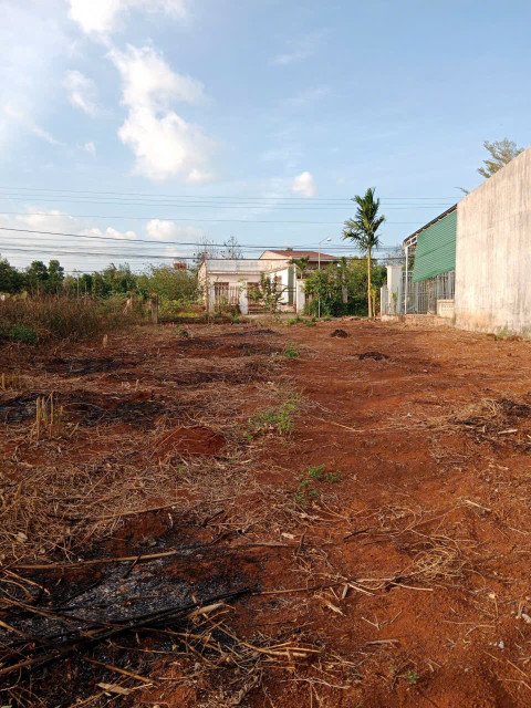 Bán đất mặt tiền đường nhựa thôn 2 183.2m² 1.33 tỷ tại Xã Cư Suê Huyện Cư M'gar