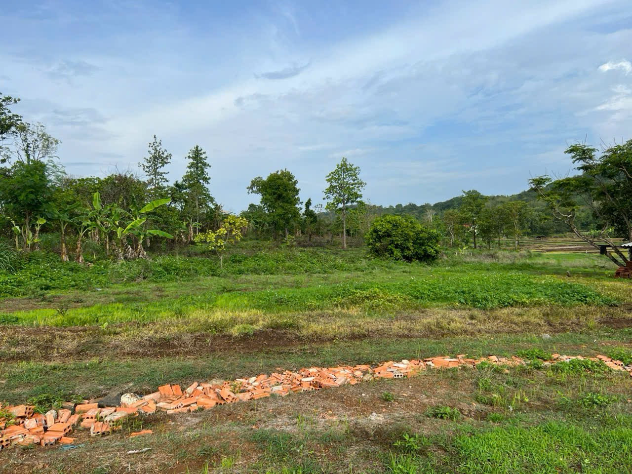 Bán đất view ruộng 1984.1m² 1.8 tỷ tại Phường Thành Nhất Thành phố Buôn Ma Thuột