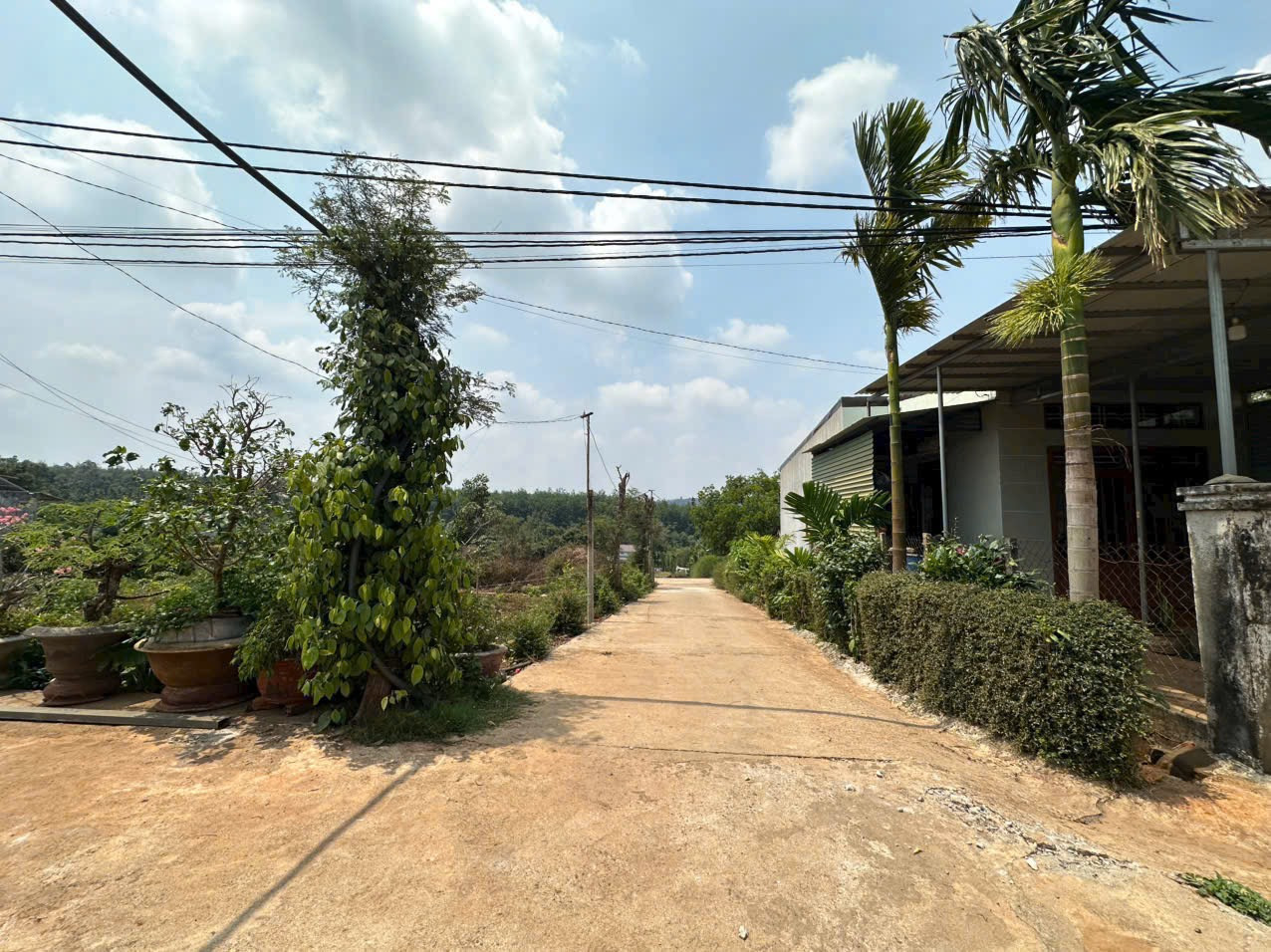 Bán đất TDP9 157.7m² 898 triệu tại Phường Tân Lợi Thành phố Buôn Ma Thuột