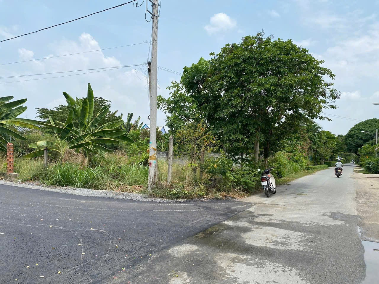 Bán đất hai mặt tiền đường nhựa 16.5mX31m (550m²) tại Xã Phú Hòa Đông Huyện Củ Chi