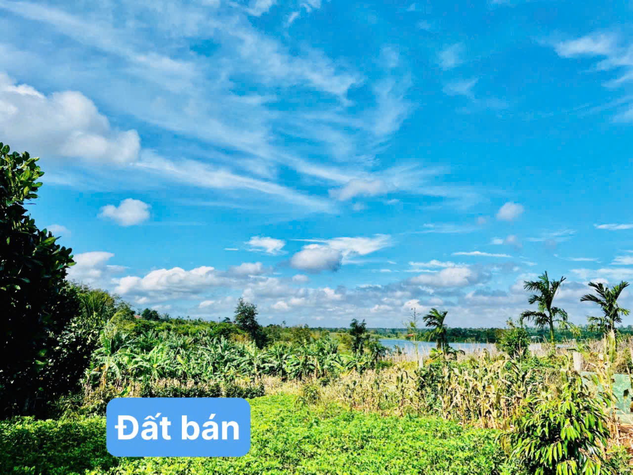 Bán đất Cukuin Daklak, view hồ 56 sổ sẵn giá chỉ 189tr/ lô