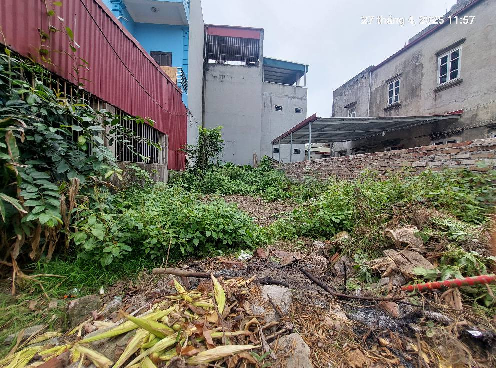 Đất Nam Hồng, 75m2, mt5m, ô tô 7 chỗ thông, 6 tỷ, Đông Anh.