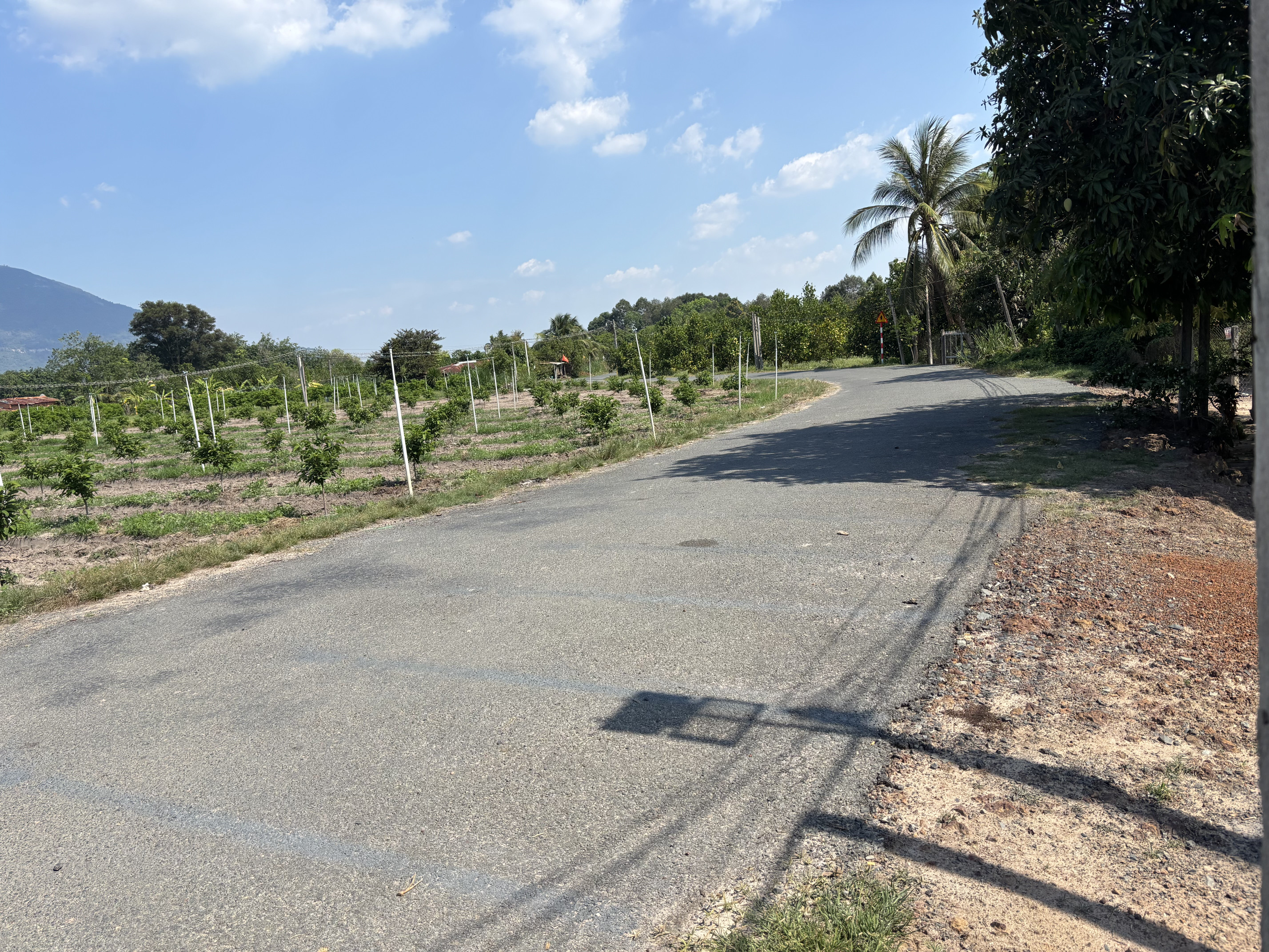 Bán đất 1000m² 1.2 tỷ tại Xã Thạnh Tân Thành phố Tây Ninh