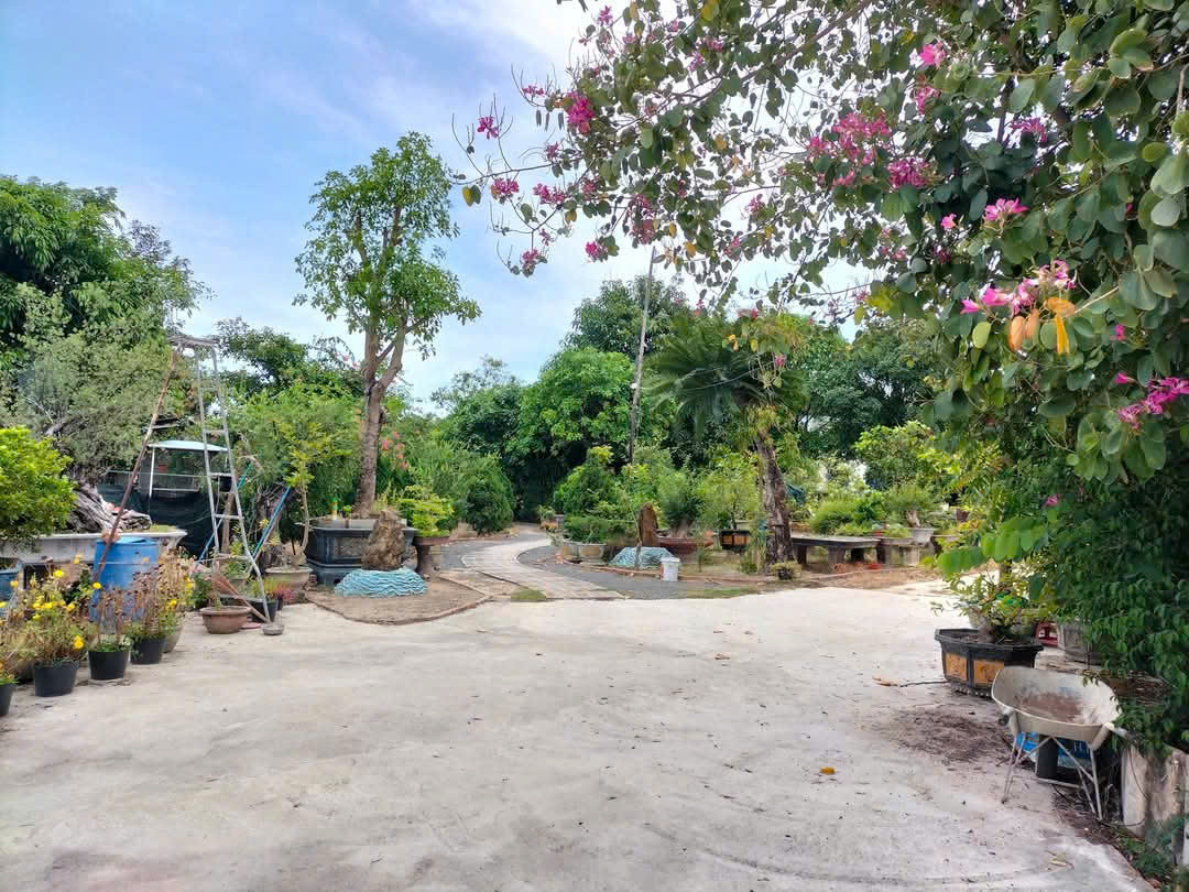 Bán nhà sân vườn Đinh Tiên Hoàng, Cam Đức, Cam Lâm, Khánh Hòa, 1450m2, giá tốt
