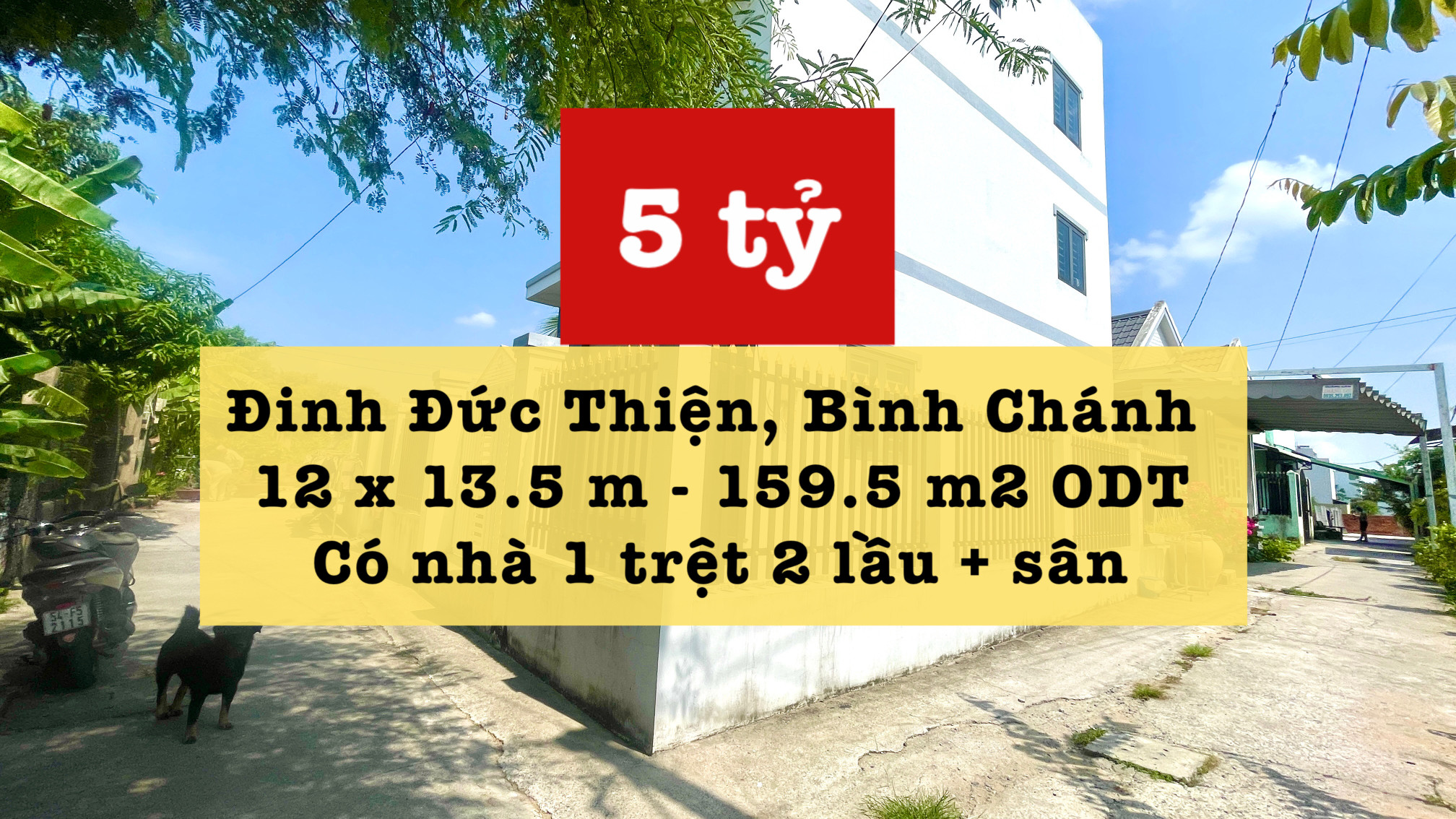 Nhà vườn Đinh Đức Thiện ngang 12m !