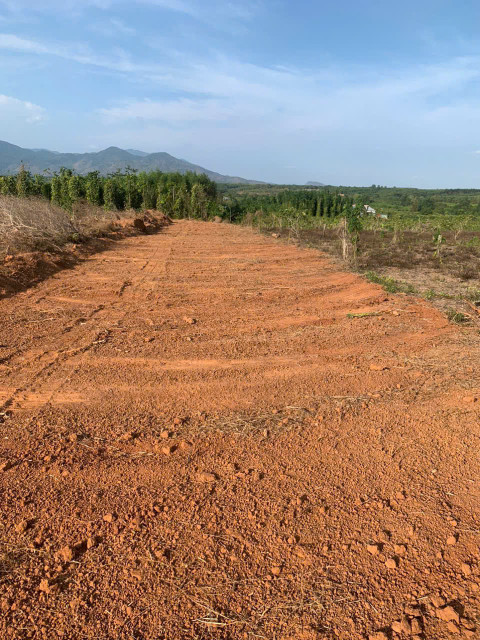 Tổng 4068.1m vuông
Đất tại xã hoà hiệp,xuyên mộc