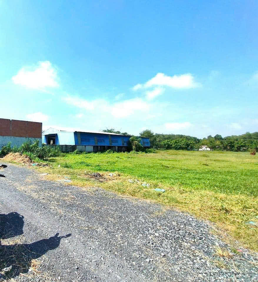 MẶT TIỀN ĐƯỜNG NHỰA DT 340M2 ĐẤT T.CƯ NGAY CHỢ THÔNG VÀO KCN DÂN ĐÔNG. GIÁ 220TR