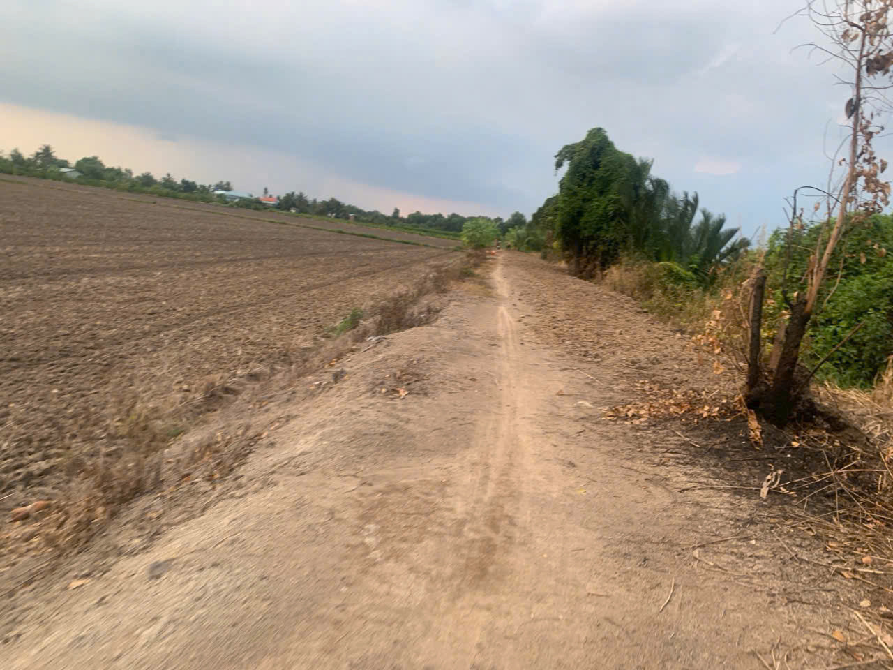 5585m2 đất vườn xã Lương Hòa, huyện Bến Lức giá 4,6 tỷ