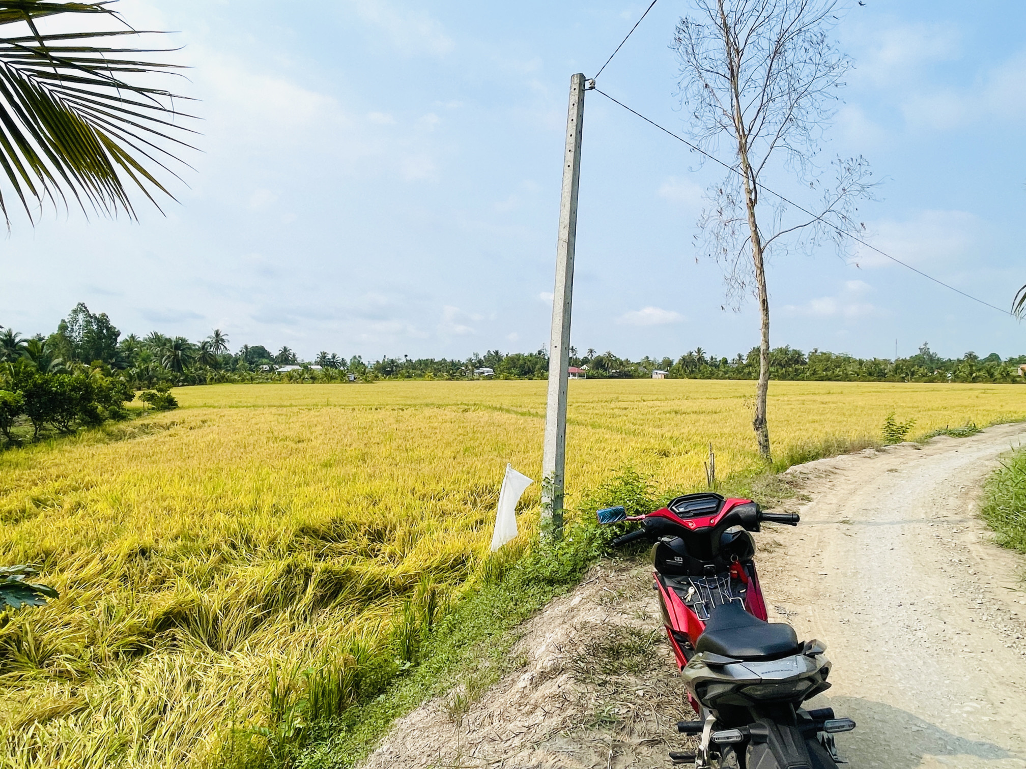 Bán đất 1000m² tại Xã Tân Lộc Huyện Tam Bình