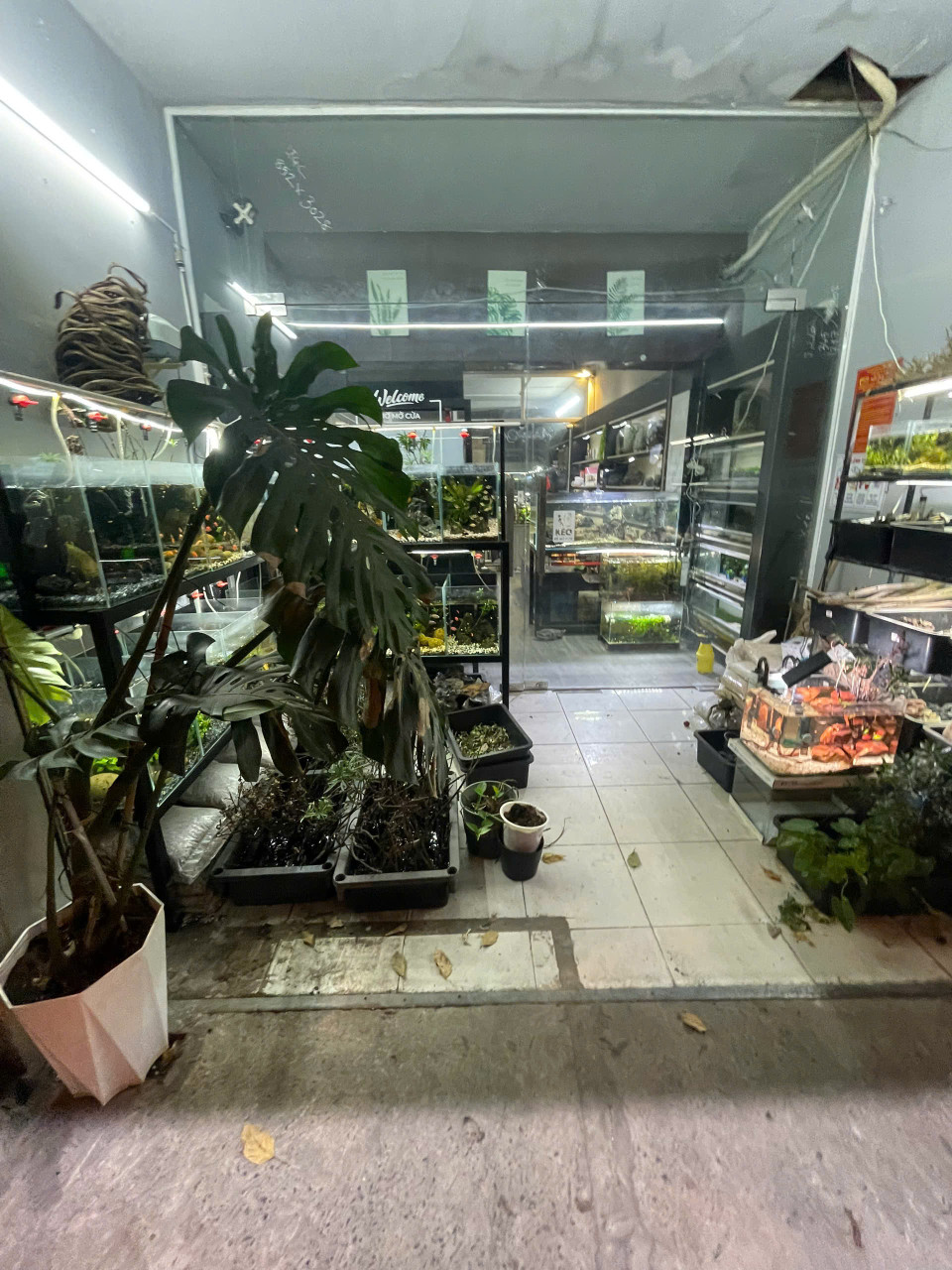CHÍNH CHỦ CÓ VIỆC CẦN SANG GẤP LẠI QUÁN 5B Nguyễn Biểu-Phường 1-  Quận 5- TP.HCM