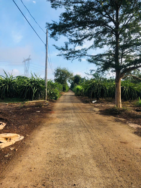❌ BÁN LÔ ĐẤT HẺM CẤP 1 ĐƯỜNG C – THÔN 3, CƯ BUA – GIÁ CHỈ 999 TRIỆU