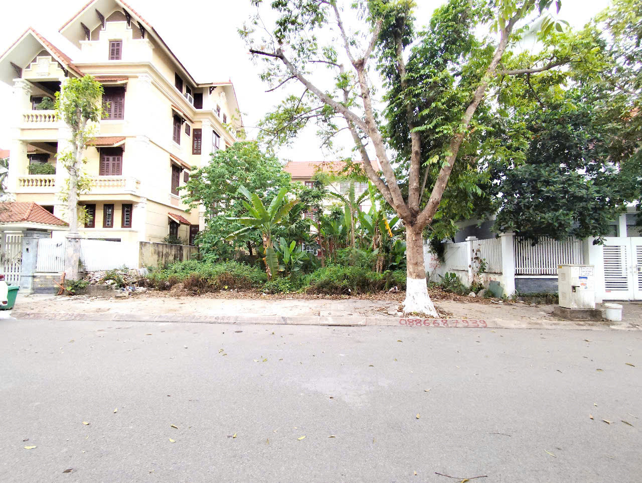 Đất phân lô biệt thự Sao Đỏ - 300m - Giá 40tr/m - gần ngay Cầu Rào