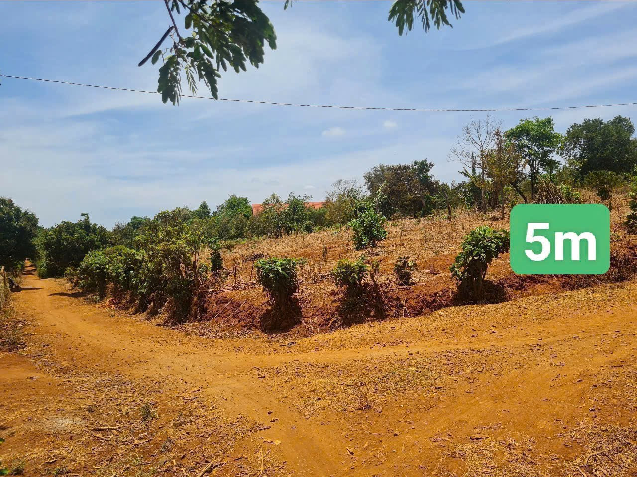 Bán đất 185m² giá 139 triệu tại Xã Ea Tar Huyện Cư M'gar