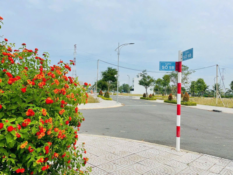 Đừng Chờ Khi Cơ Hội Đang Gõ Cửa, Long Thành Đất Vàng Của Tương Lai