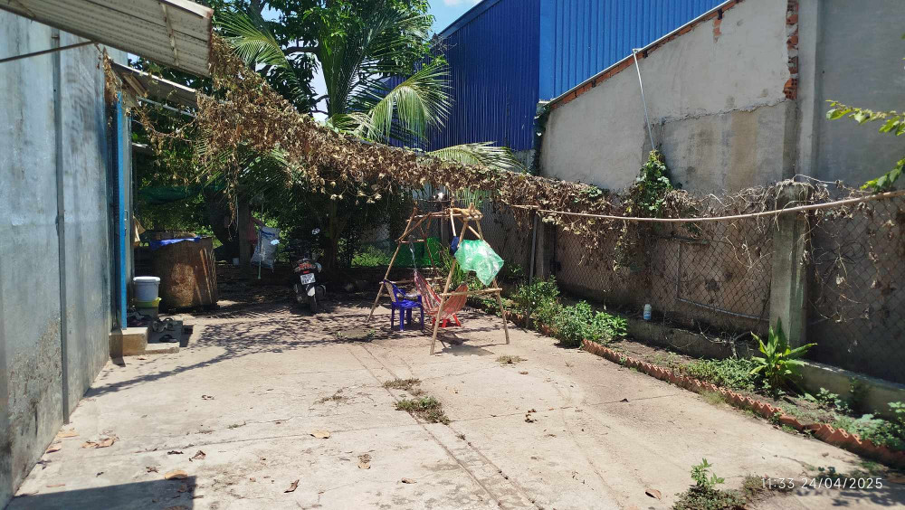BÁN ĐẤT ĐI MỸ - ĐỨC LẬP HẠ, ĐỨC HÒA, LONG AN - 
 540 M2 - GIÁ CHỈ CÒN 2.85 TỶ  0366 508 362