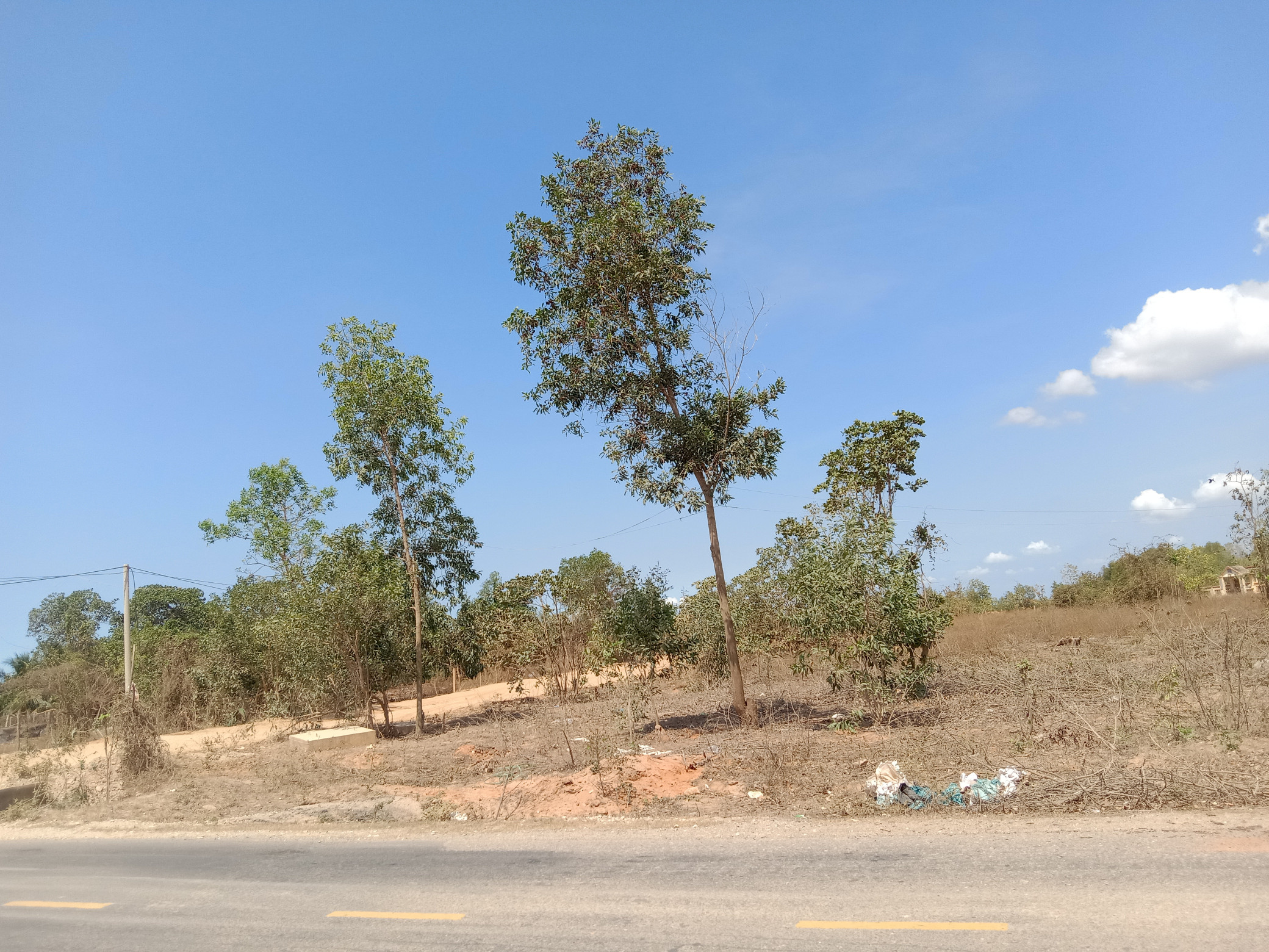 Hàng đẹp giá ngộp