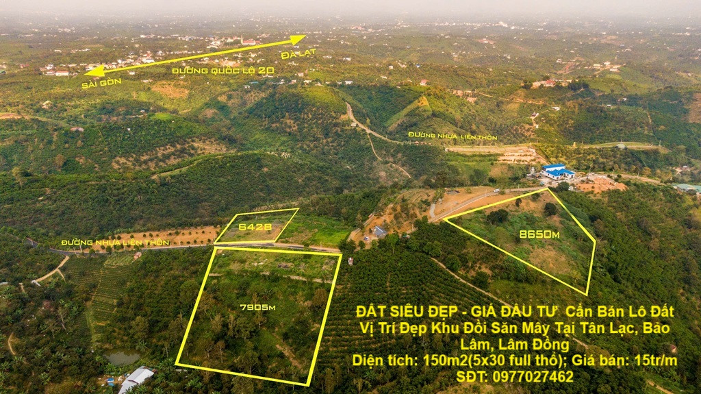 ĐẤT SIÊU ĐẸP - GIÁ ĐẦU TƯ  Cần Bán Lô Đất Vị Trí Đẹp Khu Đồi Săn Mây Tại Tân Lạc, Bảo Lâm, Lâm Đồng