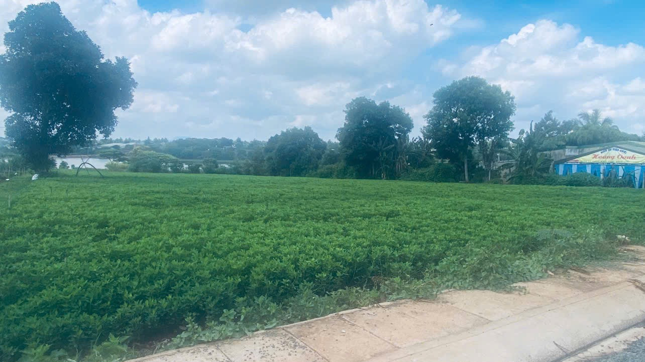 💥 Hơn 2.500m2 đất view hồ thư giãn chillchill Trà Đa