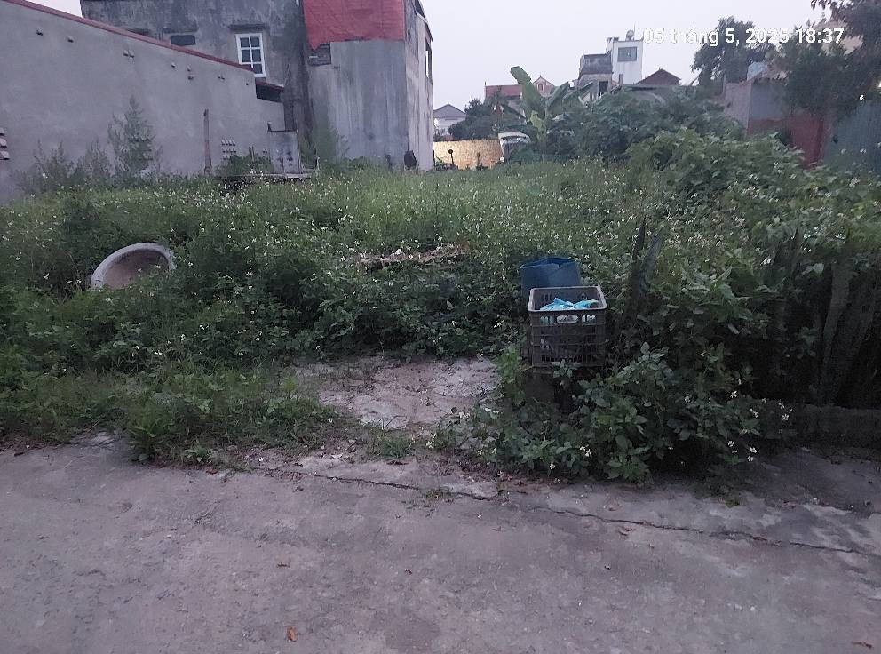 Cần tìm chủ mới, 88m2, mt5m, Nguyên Khê, Đông Anh, 5.25 tỷ, ô tô.
