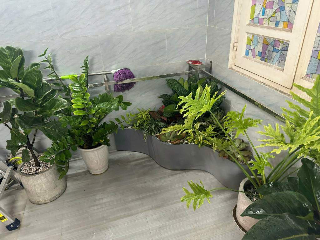 Bán nhà mặt đường Hoa Sữa (P.7, Phú Nhuận, HCM) 64m, 4 tầng, mt 4m, giá 22 tỉ