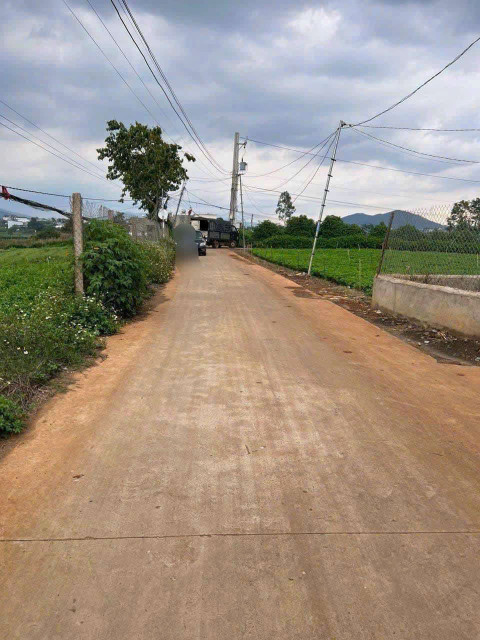 BÁN 483,5m2 ĐẤT XÃ LIÊN HIỆP - ĐỨC TRỌNG - LÂM ĐỒNG .