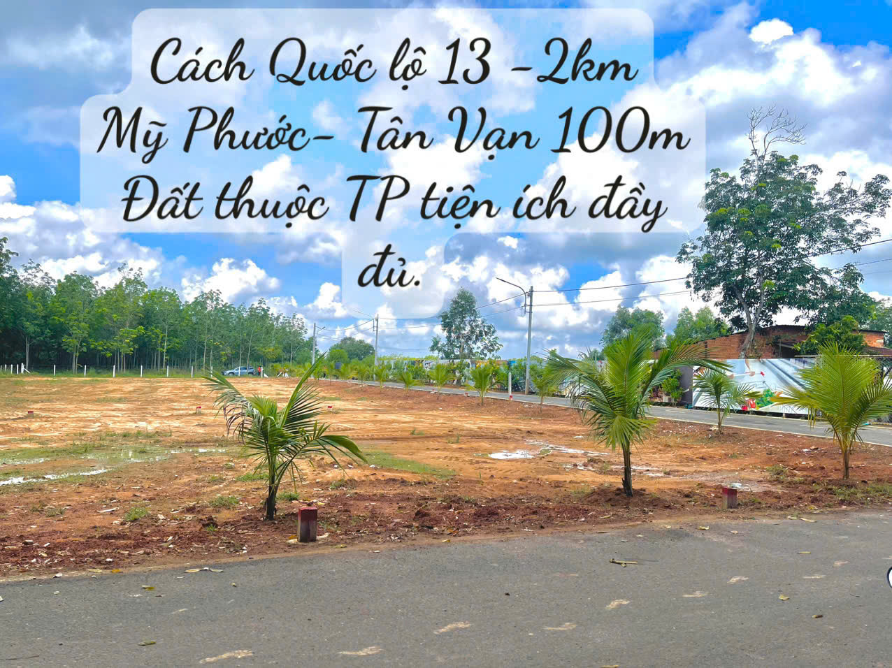 Đất Tân Định giáp Thủ Dầu 1 có nên đầu tư ?