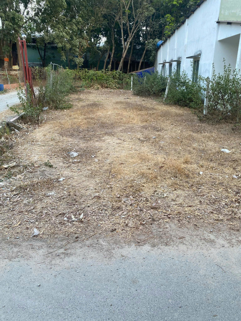Chính chủ gửi bán đất Phú An Bến Cát giao DT744, 6,2x25m giá 1ty5