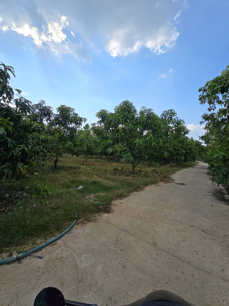 Bán đất 3000m² tại Xã La Ngà Huyện Định Quán