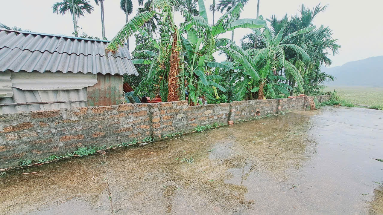 Gần trường học, uỷ ban, gần đường Miếu Môn đi Hương Sơn