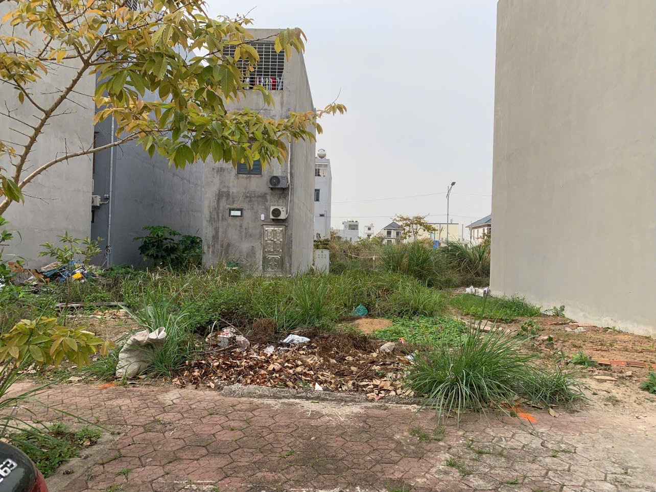 Bán đất 60m² lô 71 lk06. giá 3.29 tỷ tại Dương Quan  Thuỷ Nguyên. liên hệ 0362558882