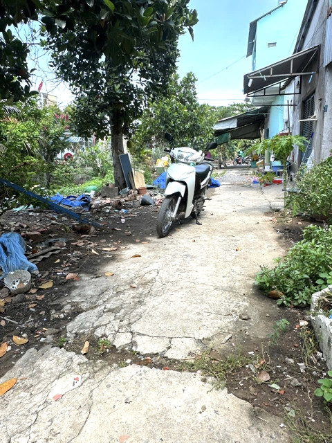 Bán đất 181.8m² 1.5 tỷ tại Xã Phú Quới Huyện Long Hồ