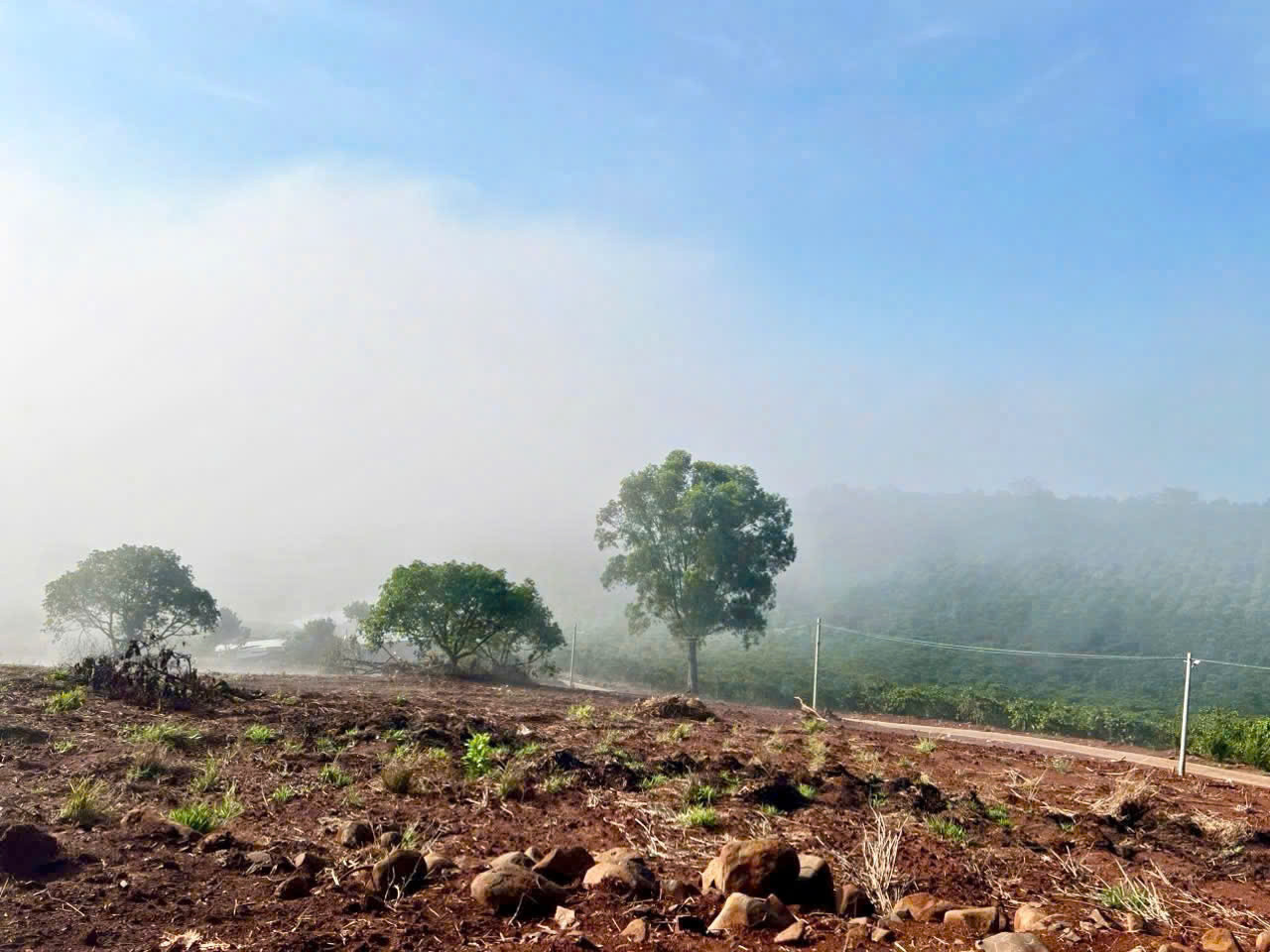 Bán đất Đan Phượng, Lâm Hà, Lâm Đồng, view săn mây giá chỉ 399tr