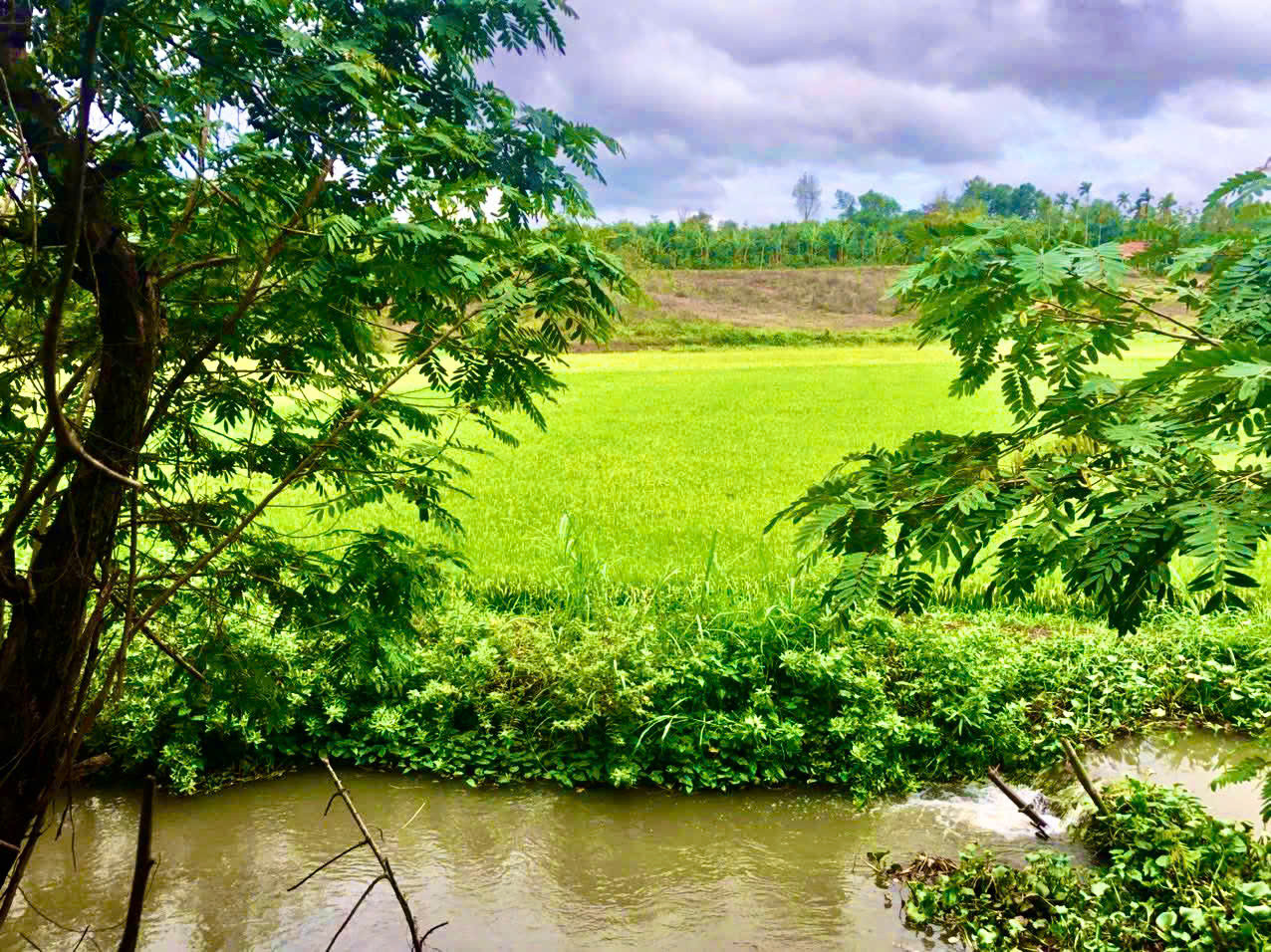 Bán đất Eaning Cukuin - Daklak view hồ siêu đẹp, tiện làm homestay