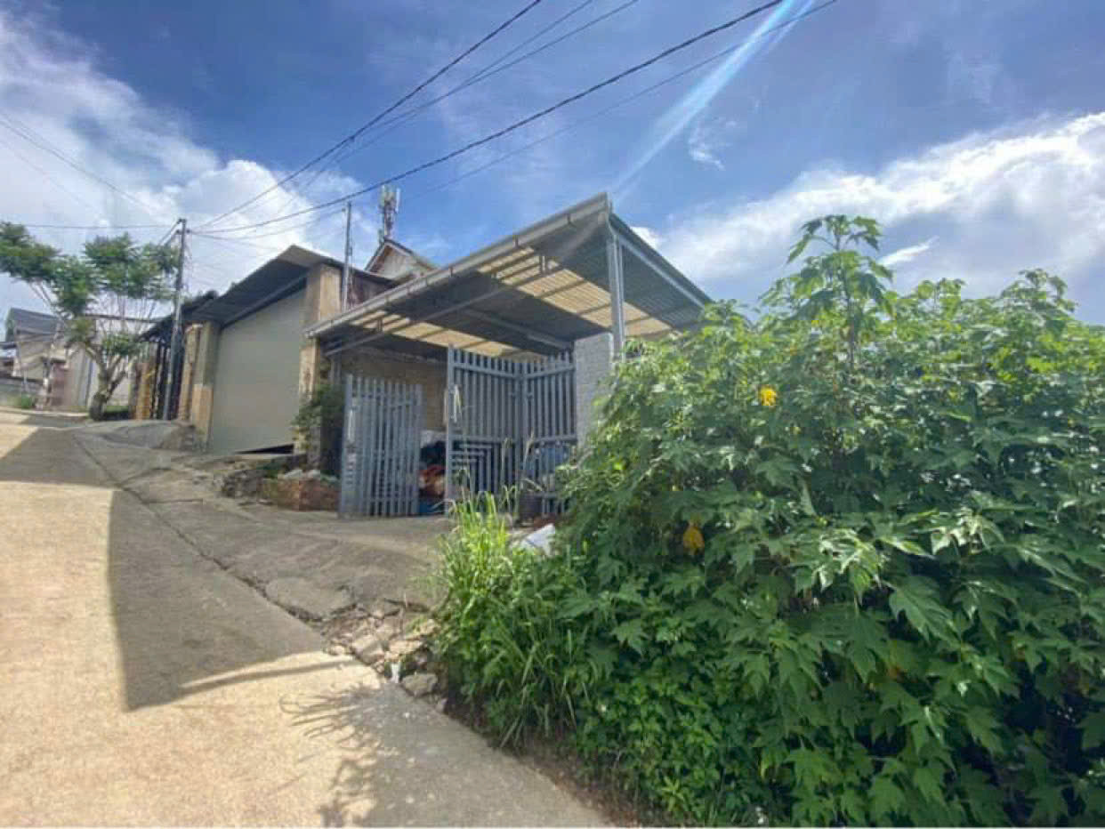 Chính Chủ cần tiền bán gấp lô đất Nguyễn Hữu Cảnh ( Đồi Thông Tin phường 8 Tp Đà Lạt)  .  Diện Tích  :183m2  full thổ cư Pháp lý      : sổ riêng xây dựng . Giá : 7ty ( thương lượng coffe)