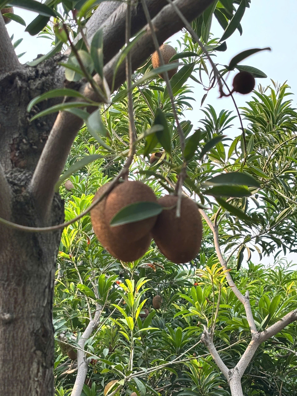 Bất động sản nghĩ dưỡng