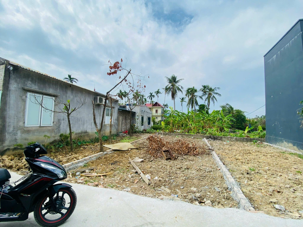 Bán đất 60m² 1.3 tỷ tại Xã Lâm Động Huyện Thuỷ Nguyên