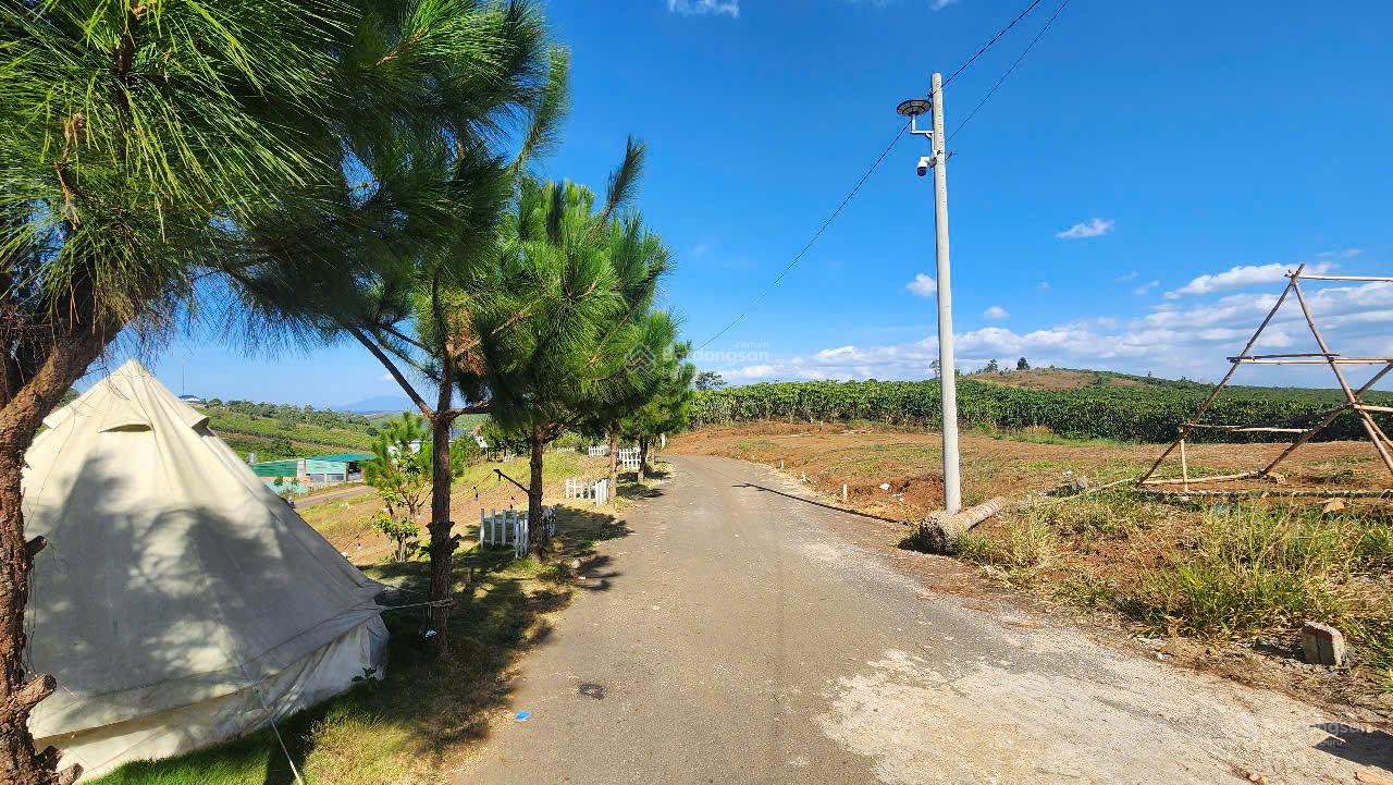 Bán 1400m2 Lộc Quảng, Bảo Lâm
