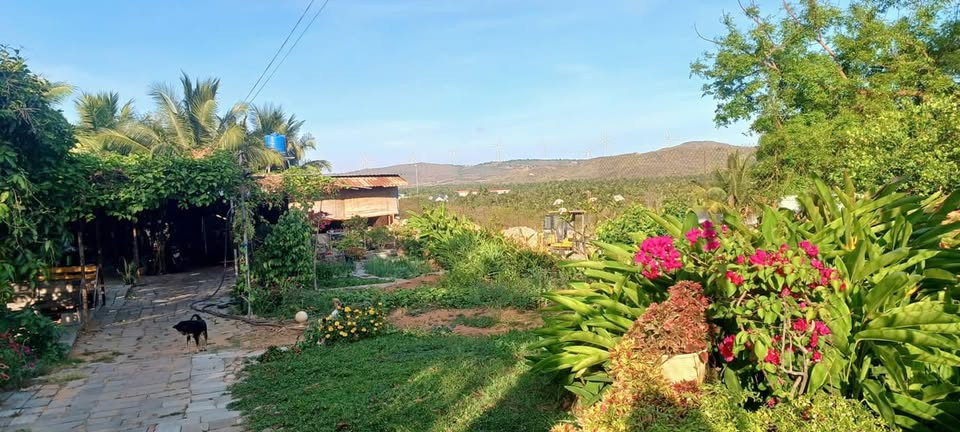 Bán 2000m2 vuông vắn view cao phía sau chùa Thiện Quang. LH: 0974090487