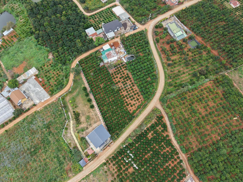 Bán đất xã Mê Linh, Lâm Hà