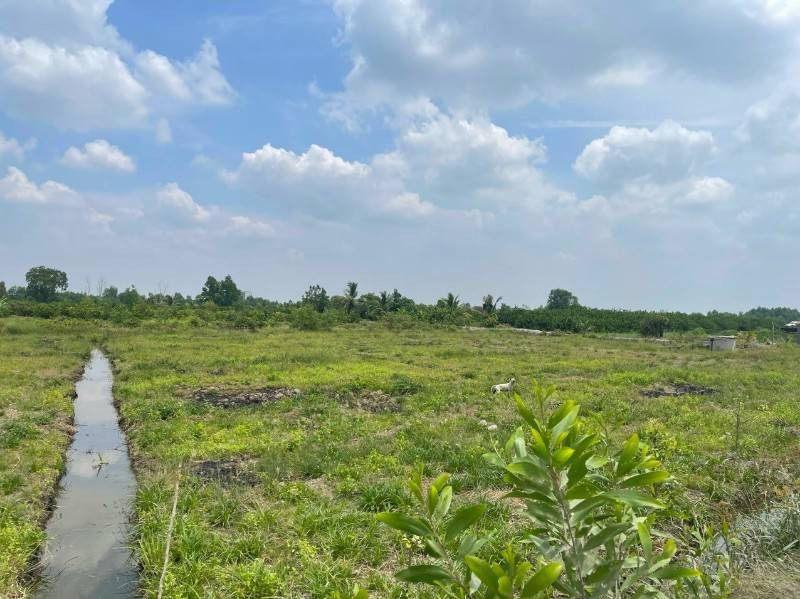 Sang nhượng rất gấp lô đất mặt tiền đường ĐT 821, xã Lộc Giang, huyện Đức Hòa, tỉnh Long An.