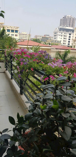 Bán căn hộ 150m2. Chung cư cao cấp Đốc Ngữ, Ba Đình