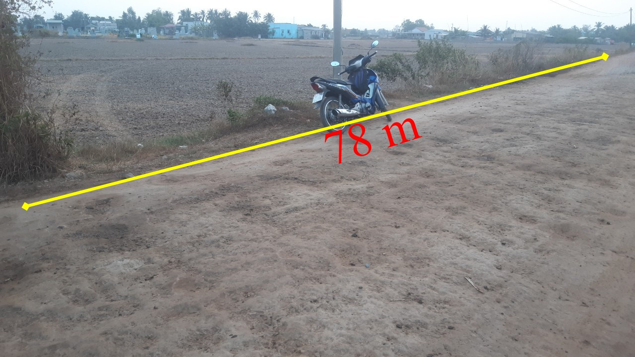 Bán 8800m2 đất lúa tại Tân Trạch, Cần Đước