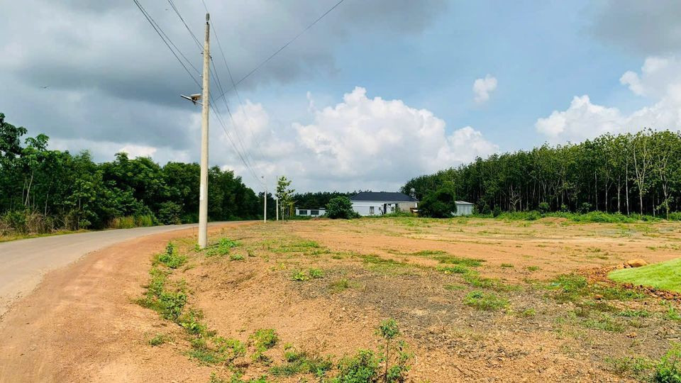 Bán đất 1089.6m² ngay chợ đi vào, giá 150 triệu